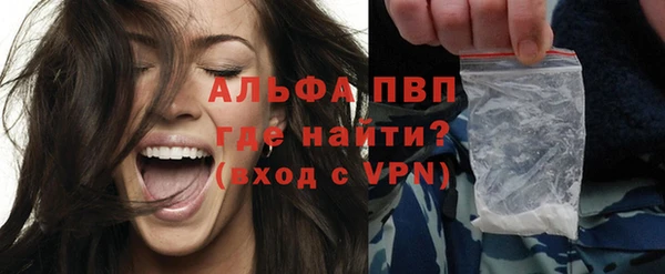гашик Дмитровск