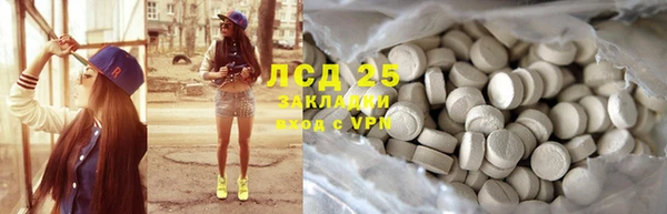 гашик Дмитровск