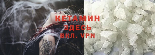 сатива Гусь-Хрустальный