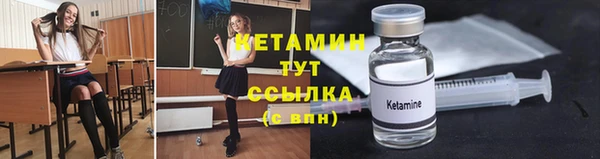 гашик Дмитровск