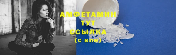 гашик Дмитровск