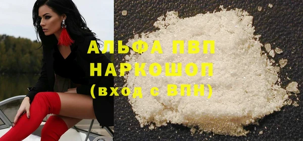 гашик Дмитровск