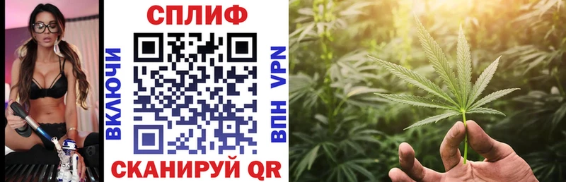 Канабис SATIVA & INDICA  Купить закладки  Красный Холм 